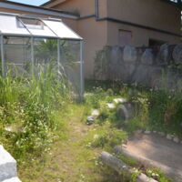 neue Schildkrötenanlage mit Gewächshaus
