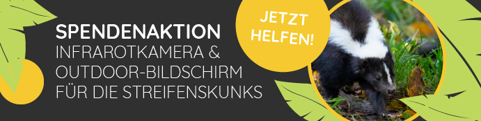Streifenskunks_Tablet